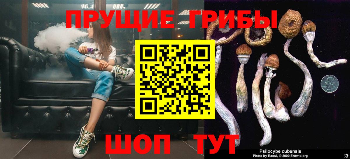 Кольчугино  Псилоцибиновые грибы Psilocybine cubensis  Вход с VPN 