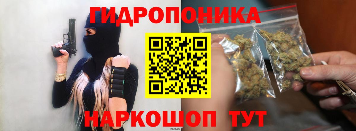 Бошки Шишки THC 21% Кольчугино
